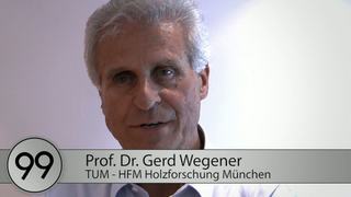 Gerd Wegener (TUM - HFM Holzforschung): 99 seconds for the future of ...